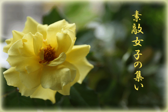 a0245136_22101037.gif