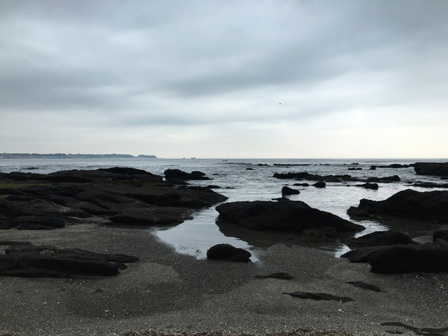 佐島マリーナの散策　天神島臨海自然教育園とレストランMARINE&FARM_b0330040_19453528.jpg