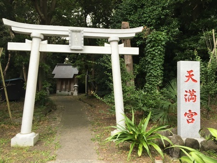 佐島マリーナの散策　天神島臨海自然教育園とレストランMARINE&FARM_b0330040_20284761.jpg