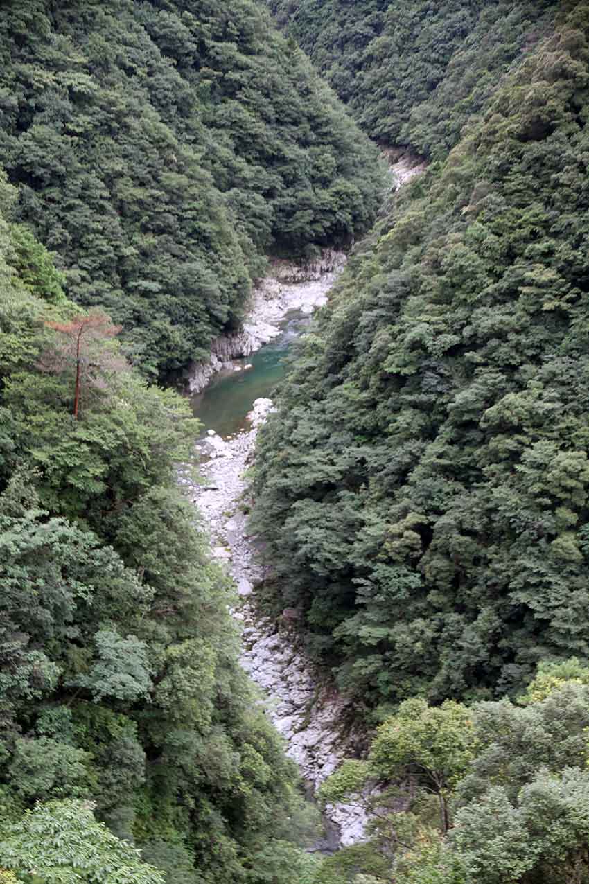 祖谷街道・祖谷渓・小便小僧・祖谷温泉♪_d0058941_20562973.jpg