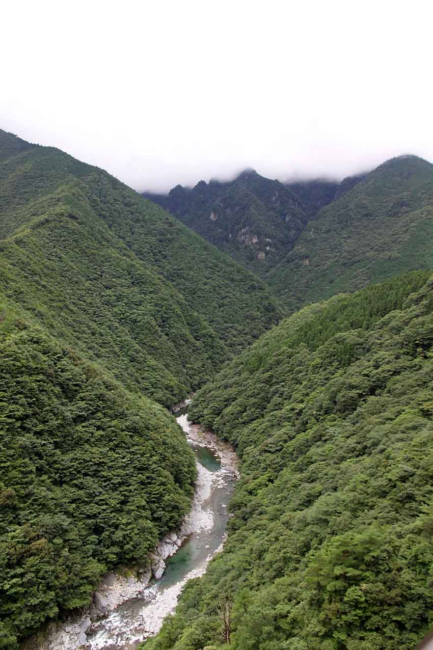 祖谷街道・祖谷渓・小便小僧・祖谷温泉♪_d0058941_21164549.jpg