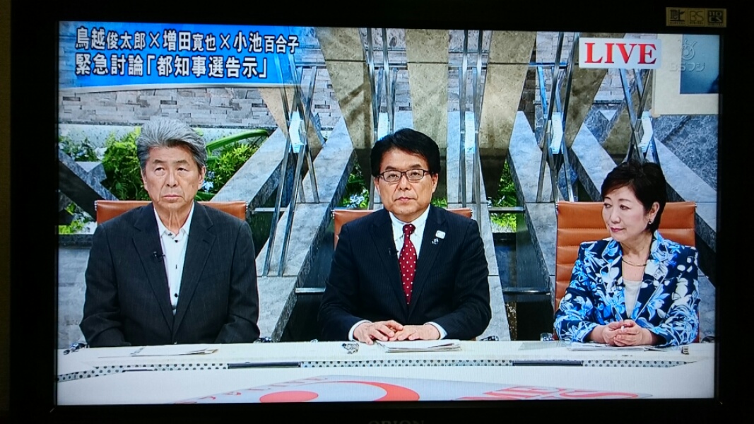 都知事選告示_f0081443_2055769.jpg