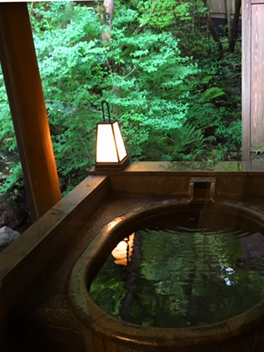 村杉温泉「角屋旅館」へプチ旅行_a0303951_140482.jpg