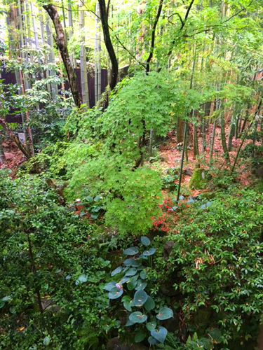 村杉温泉「角屋旅館」へプチ旅行_a0303951_1433639.jpg