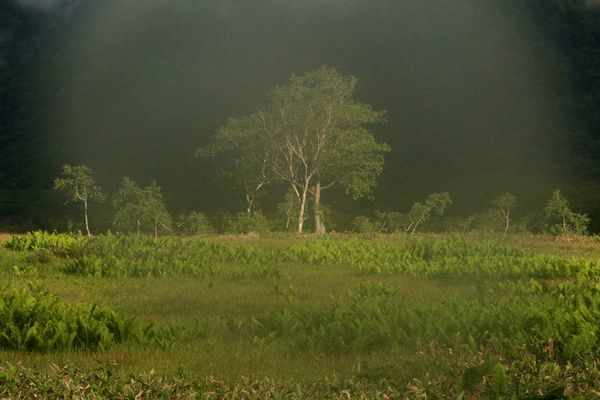 c0294658_06245021.jpg