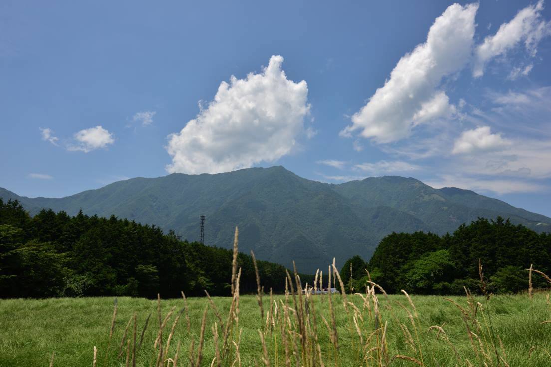 b0346568_00184430.jpg