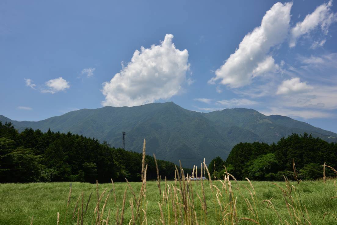 毛無山（天子山塊の最高峰）_b0346568_00184430.jpg