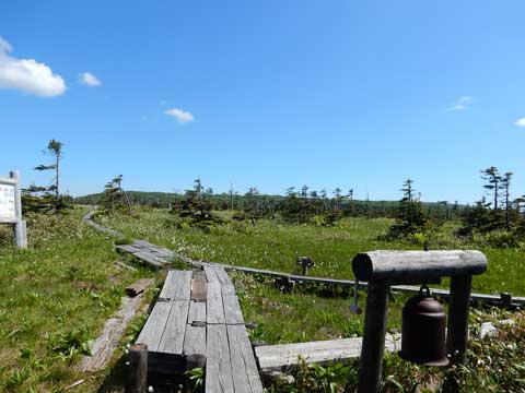 道北花散歩　　２松山湿原_f0083977_2043584.jpg