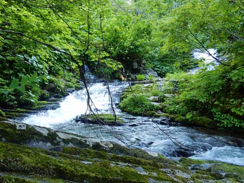 f0083977_23431988.jpg