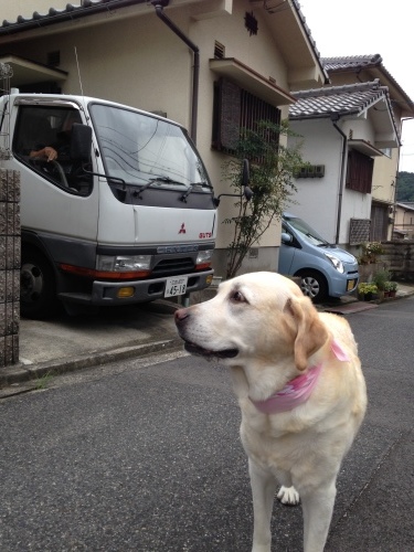 f0315081_23051847.jpeg