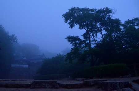 c0229483_11393687.jpg
