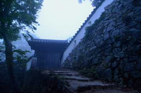 c0229483_11411744.jpg
