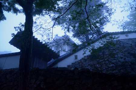 c0229483_1141254.jpg