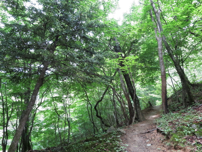 鳳凰山　前編　地蔵岳まで_b0339488_20341800.jpg