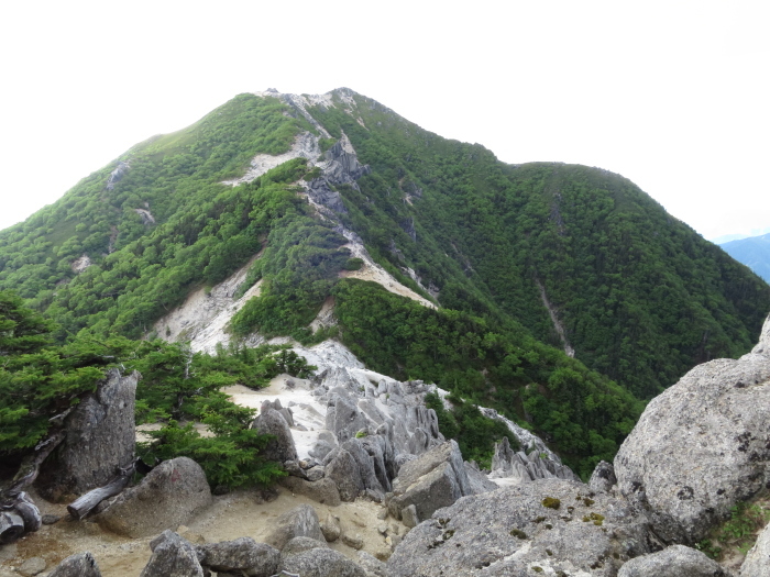 b0339488_20344216.jpg