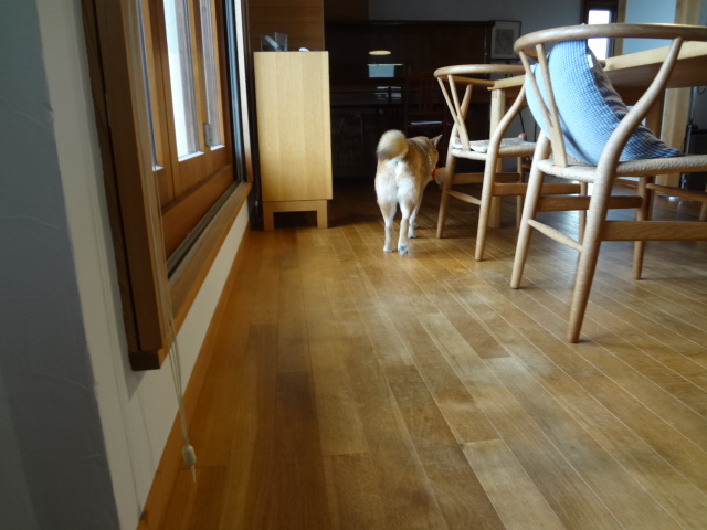c0221299_931318.jpg