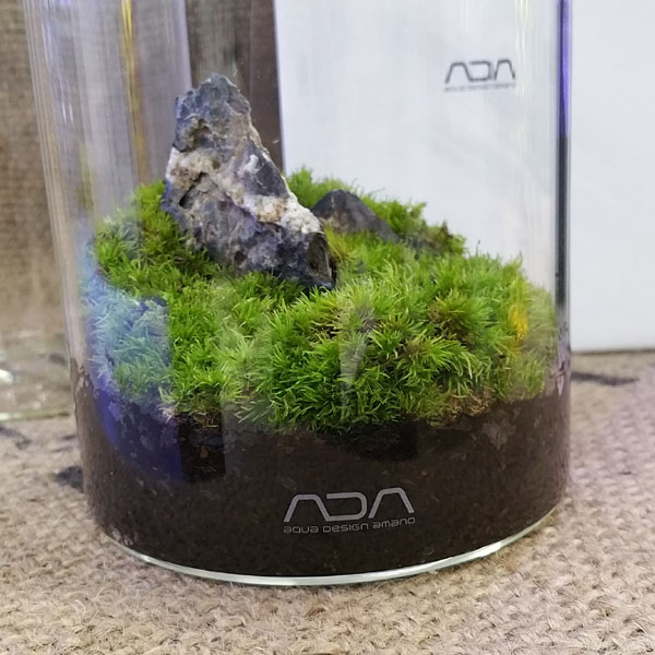 ADAからおしゃれ~なガラス容器が限定販売開始!! : ビーボックス ADAからおしゃれ~なガラス容器が限定販売開始!! : ビーボックス