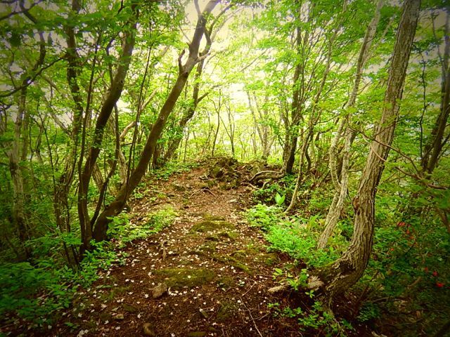 島根のお山、三瓶山縦走♪_b0183911_18392589.jpg