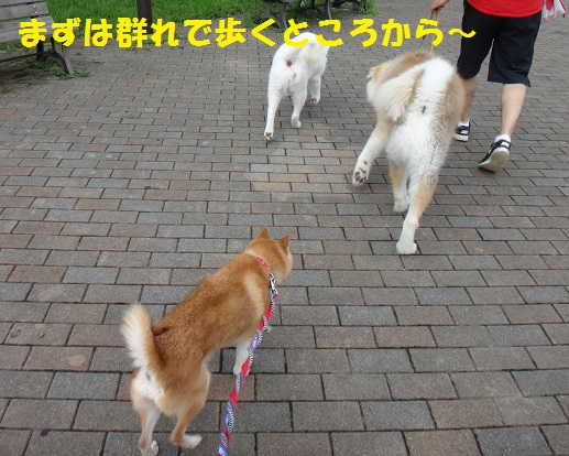 f0121712_15521512.jpg