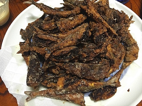 豆鯵と小鯖 ビバ自営業2