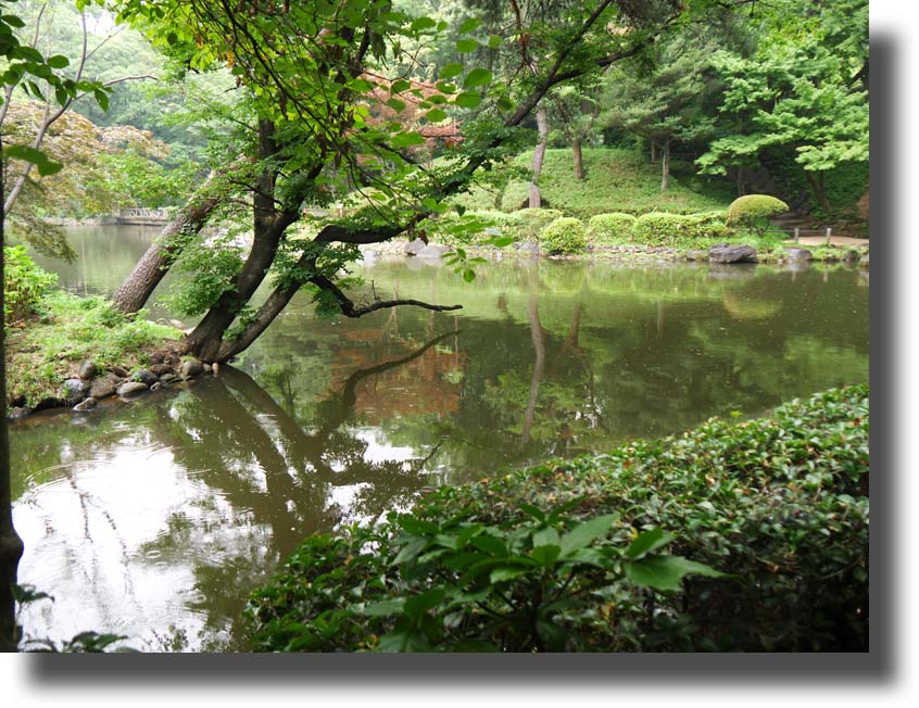 有栖川宮記念公園7月13日_c0121824_16322191.jpg