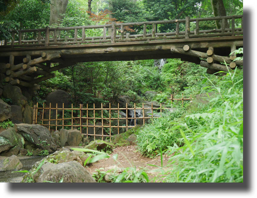 有栖川宮記念公園7月13日_c0121824_16323442.jpg