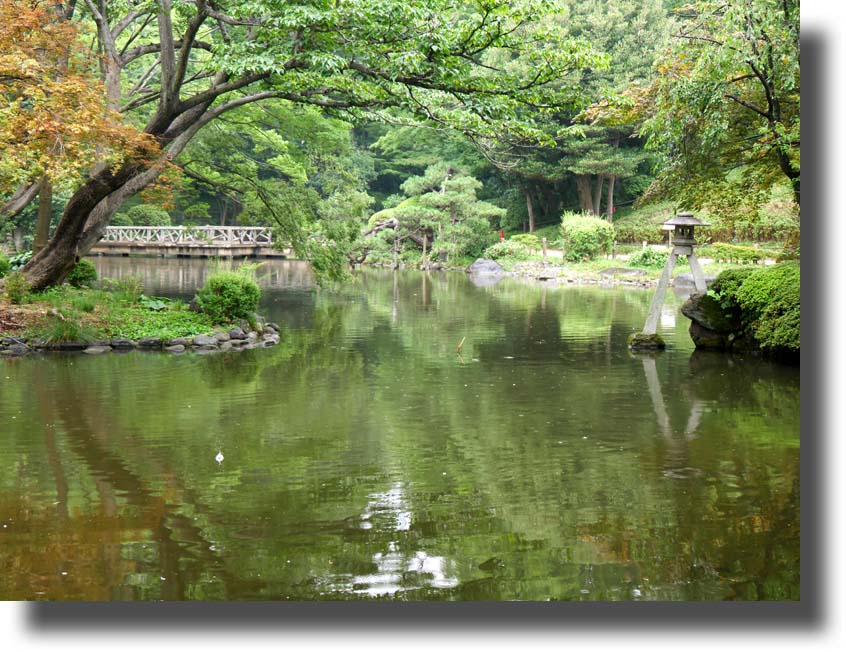 有栖川宮記念公園7月13日_c0121824_1632722.jpg
