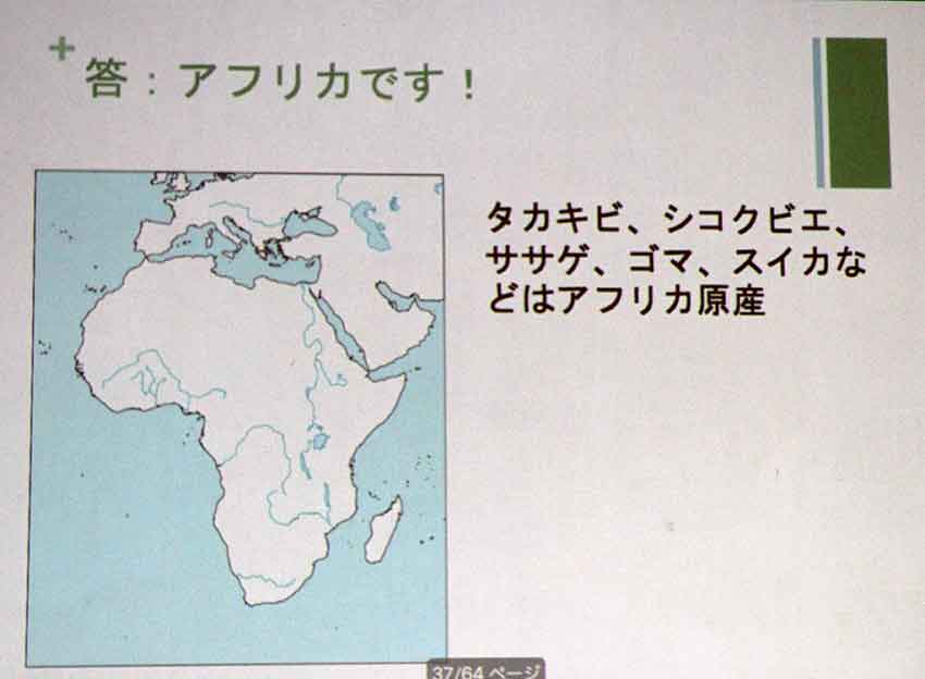 「雑穀の魅力」世界農業遺産をめざす　徳島・剣山の傾斜地農耕システム-1♪_d0058941_20543332.jpg