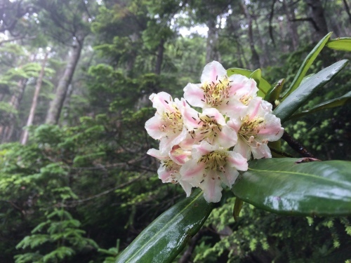 ７月16日の日記_c0369344_16581888.jpeg