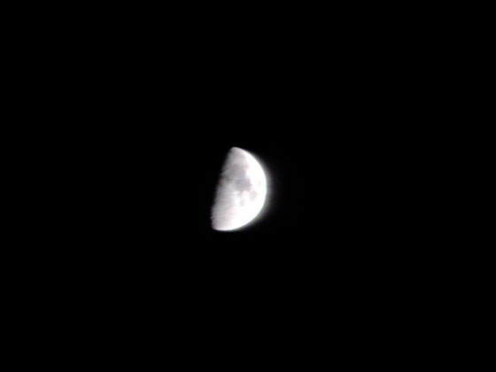 c0335348_18273072.jpg
