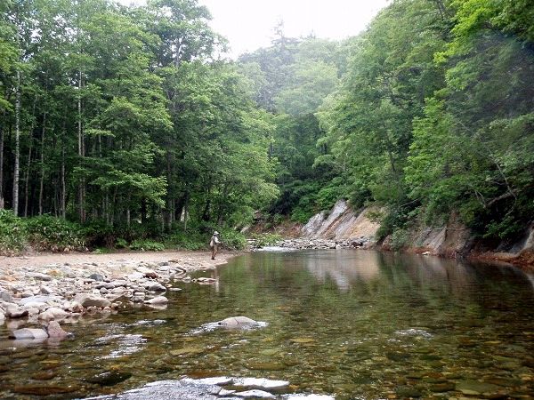 岩魚の楽園　デカドライDEビシバシ_c0097652_1933237.jpg