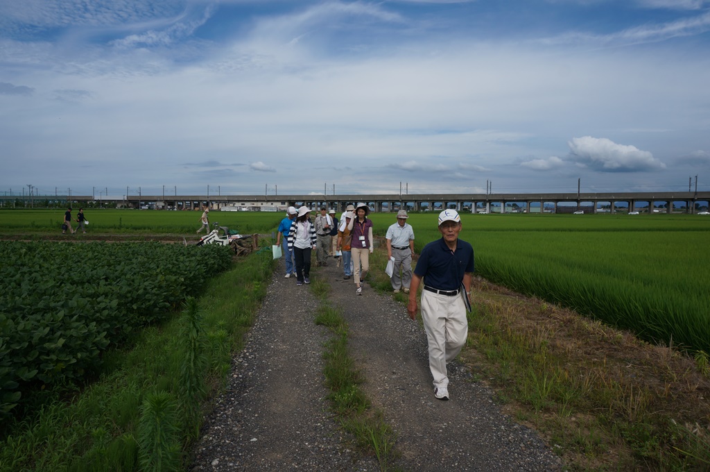 7.16 まち歩きボランティア養成講座_e0351452_17372932.jpg