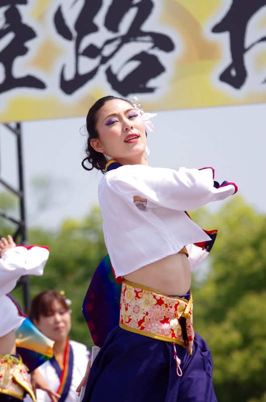 ２０１６ひめじ良さ恋まつりその２（踊る阿呆虎拍会）_a0009554_11204942.jpg