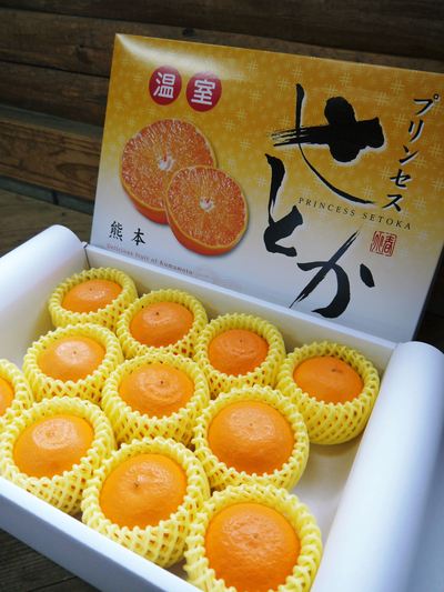 デコポン(肥後ポン) 摘果作業とひも吊り作業 今年も至高のデコポンを育てます その1_a0254656_1832952.jpg