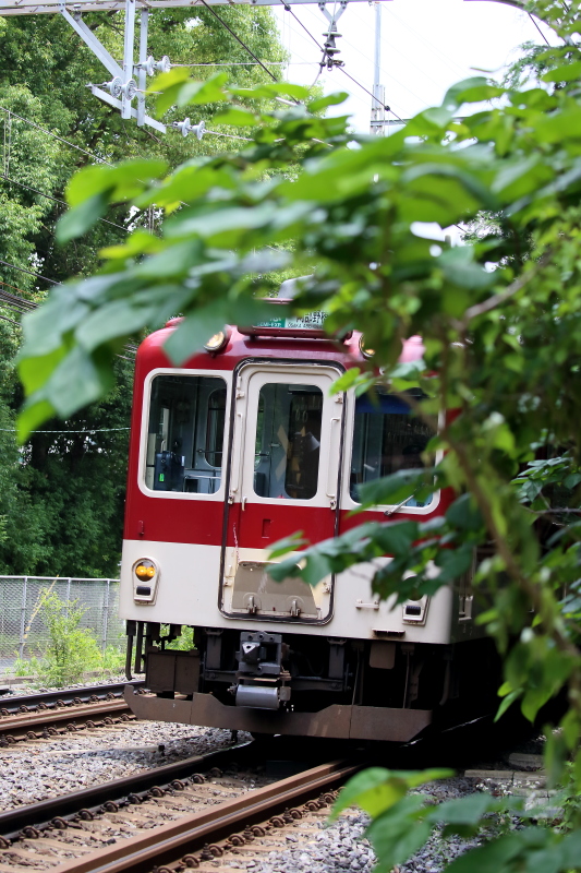 近畿日本鉄道 南大阪線です。_c0272958_23425597.jpg