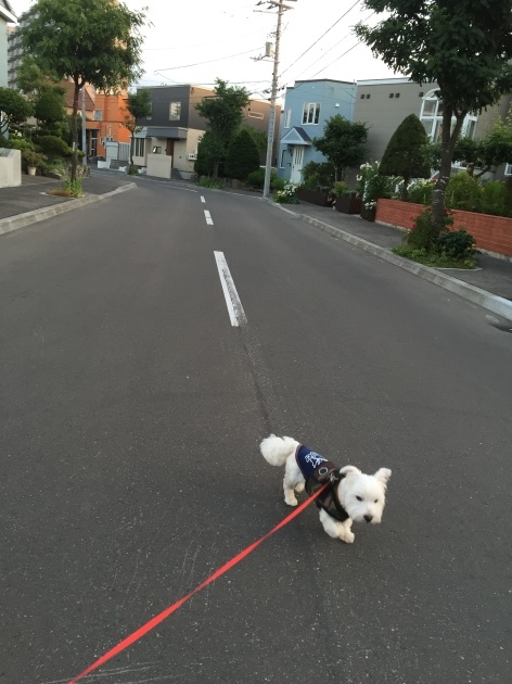 a0337860_12450691.jpeg