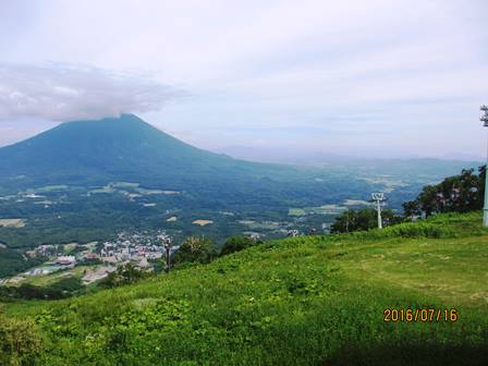 すっかり夏になりました_b0097183_1652273.jpg