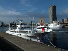 b0192588_9281515.jpg