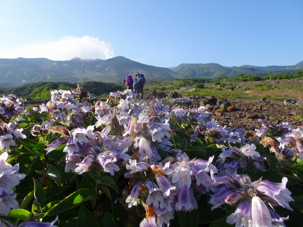  十勝岳から富良野岳、7月9日－同行者からの写真－_f0138096_1062490.jpg