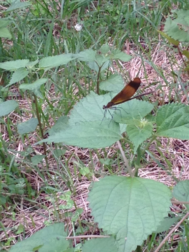 f0101201_22174005.jpg