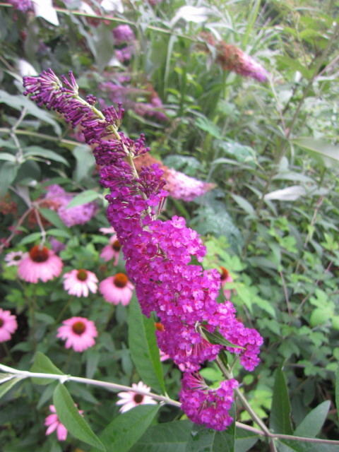 f0327308_08181928.jpg