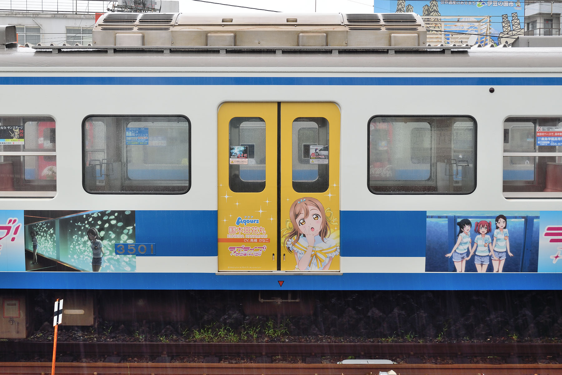 伊豆箱根鉄道 3000系 / 3501F - 恋になりたいAQUARIUMラッピング -_d0226909_22251460.jpg