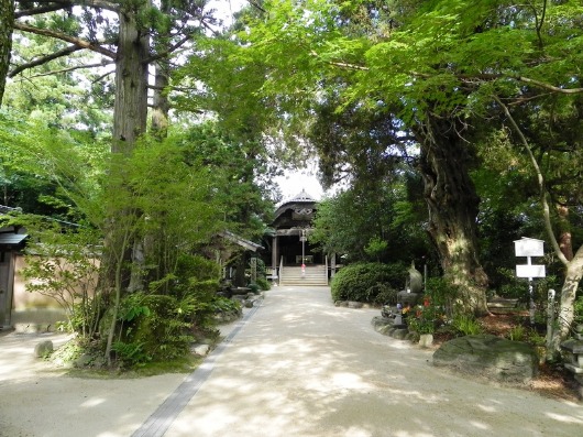 浄瑠璃寺の蓮の花と鎮魂の皿碑 2016_f0213825_8115312.jpg