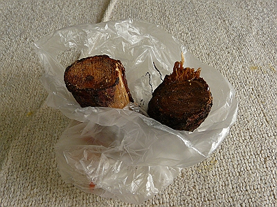 e0100043_8463130.jpg