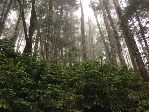 山とか道とか_c0369344_09232208.jpeg