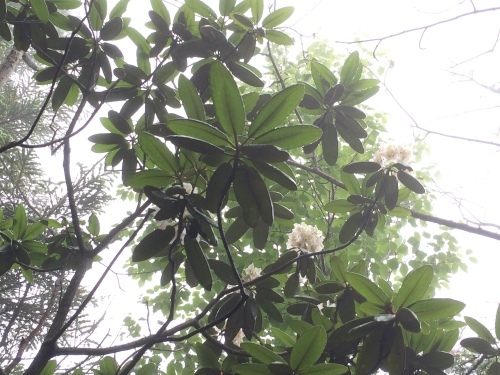 山とか道とか_c0369344_09251970.jpeg