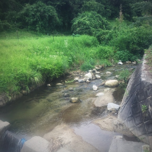 c0312349_18174406.jpeg