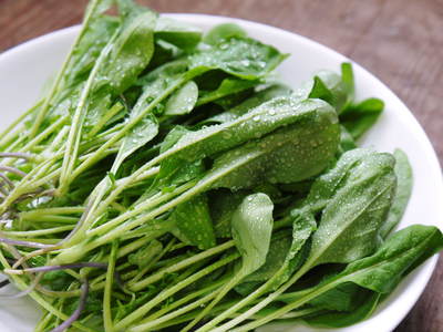 水耕栽培 生野菜食べてますか?無農薬・無化学肥料で育てた、ルッコラ、ベビーリーフチコリ販売決定!_a0254656_19305266.jpg