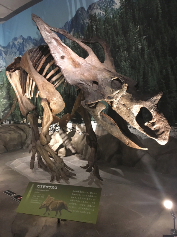 e0074760_18273723.jpg