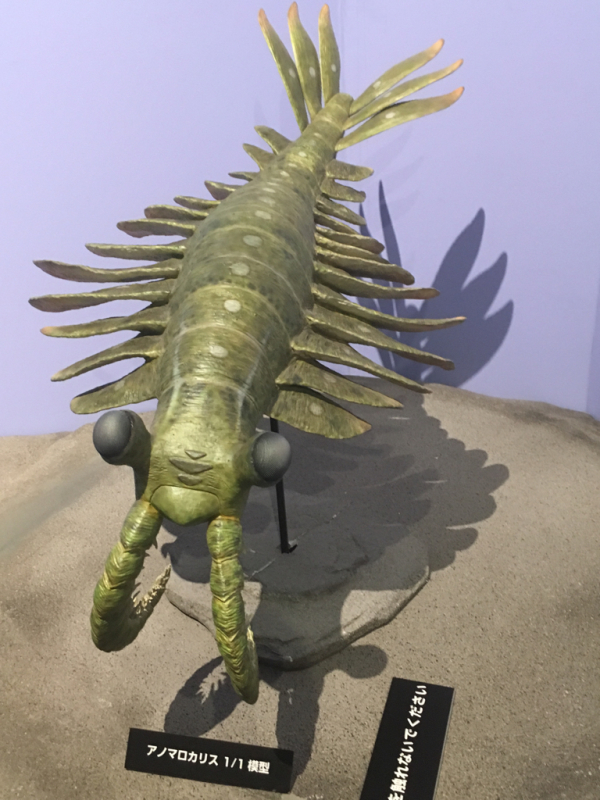 e0074760_18274008.jpg